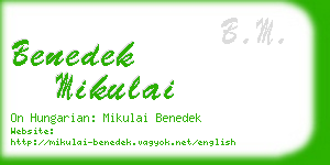 benedek mikulai business card